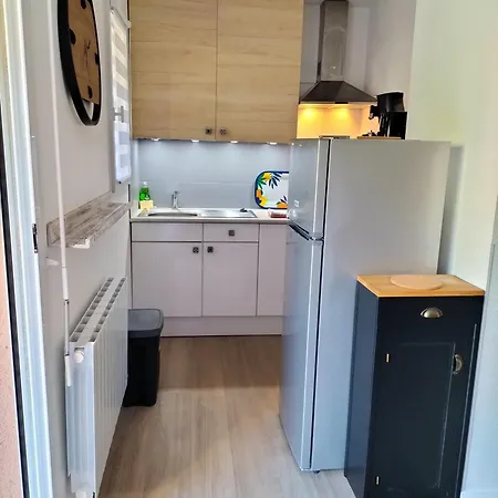 公寓 Jardin Plein Sud, Vue Montagne, Proche Luz Saint Sauveur 吕兹-圣索沃尔